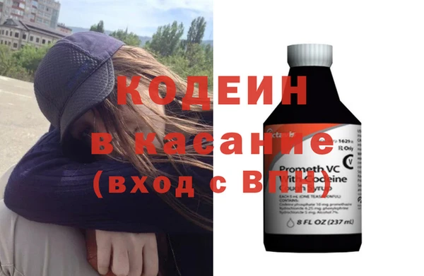 хмурый Аркадак