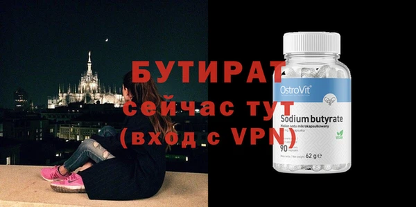 хмурый Аркадак