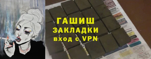 хмурый Аркадак