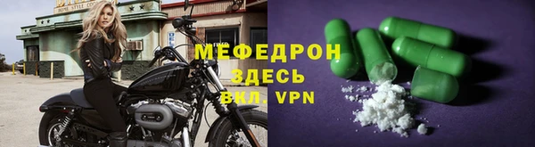 хмурый Аркадак