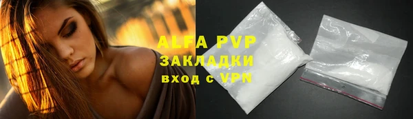 хмурый Аркадак