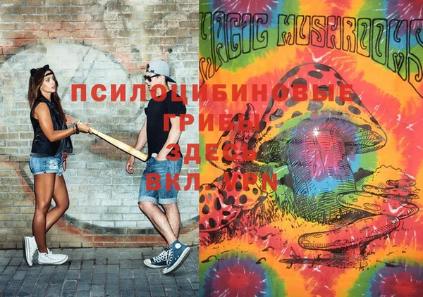 хмурый Аркадак