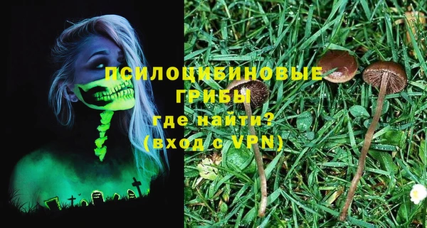 хмурый Аркадак