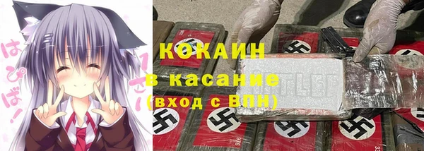 хмурый Аркадак