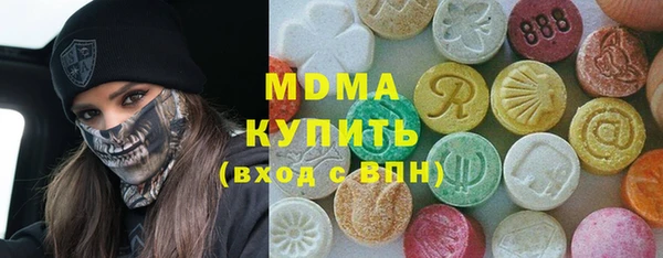 хмурый Аркадак