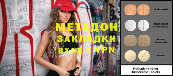 хмурый Аркадак