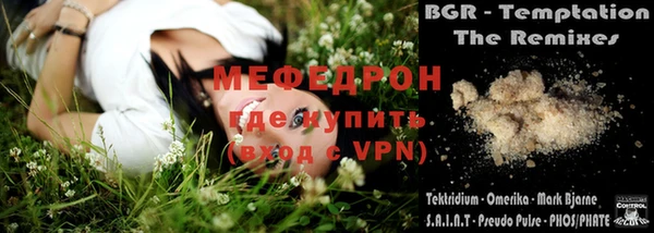 хмурый Аркадак