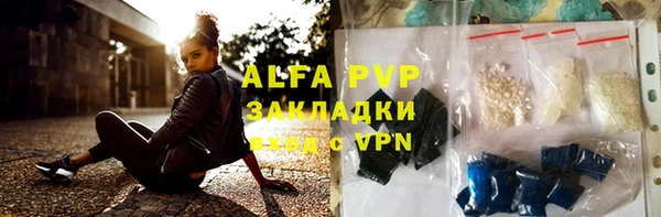хмурый Аркадак