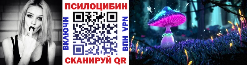 наркота МЕГА tor Псилоцибиновые грибы Psilocybine cubensis Гвардейск